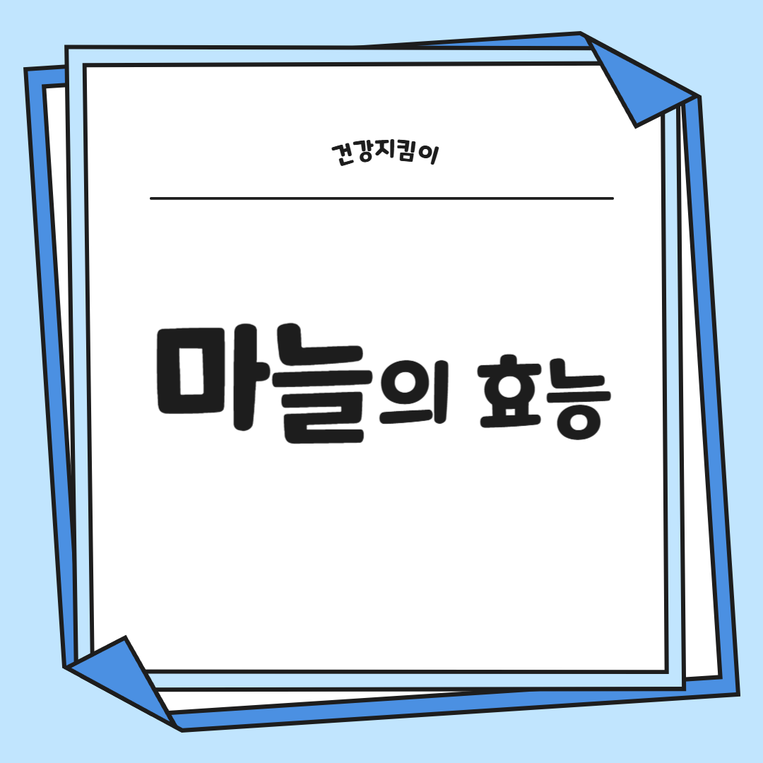 마늘 효능 효과 부작용 당뇨 혈관 건강