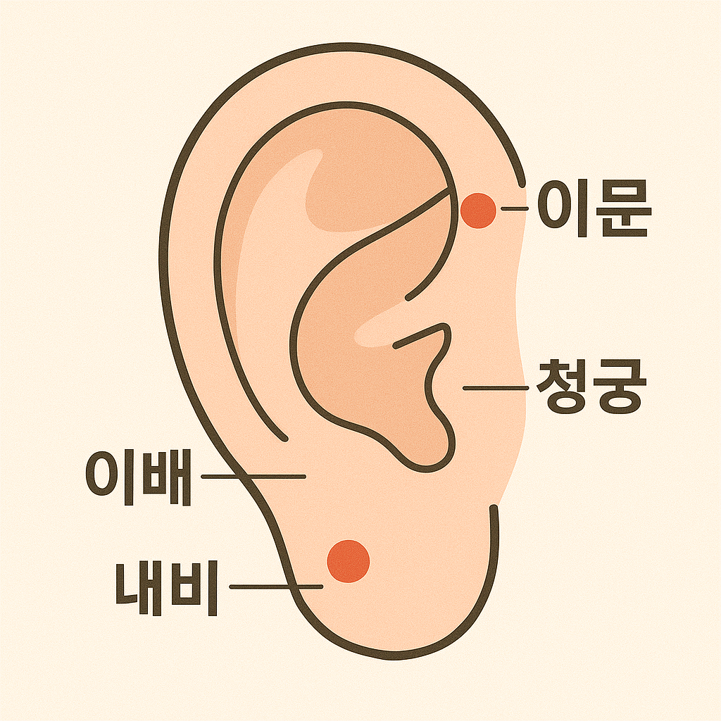 퀴-혈자리