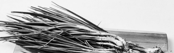 매실장아찌, 고추장, 고춧가루, 참기름, 통깨, 쪽파, 다진마늘