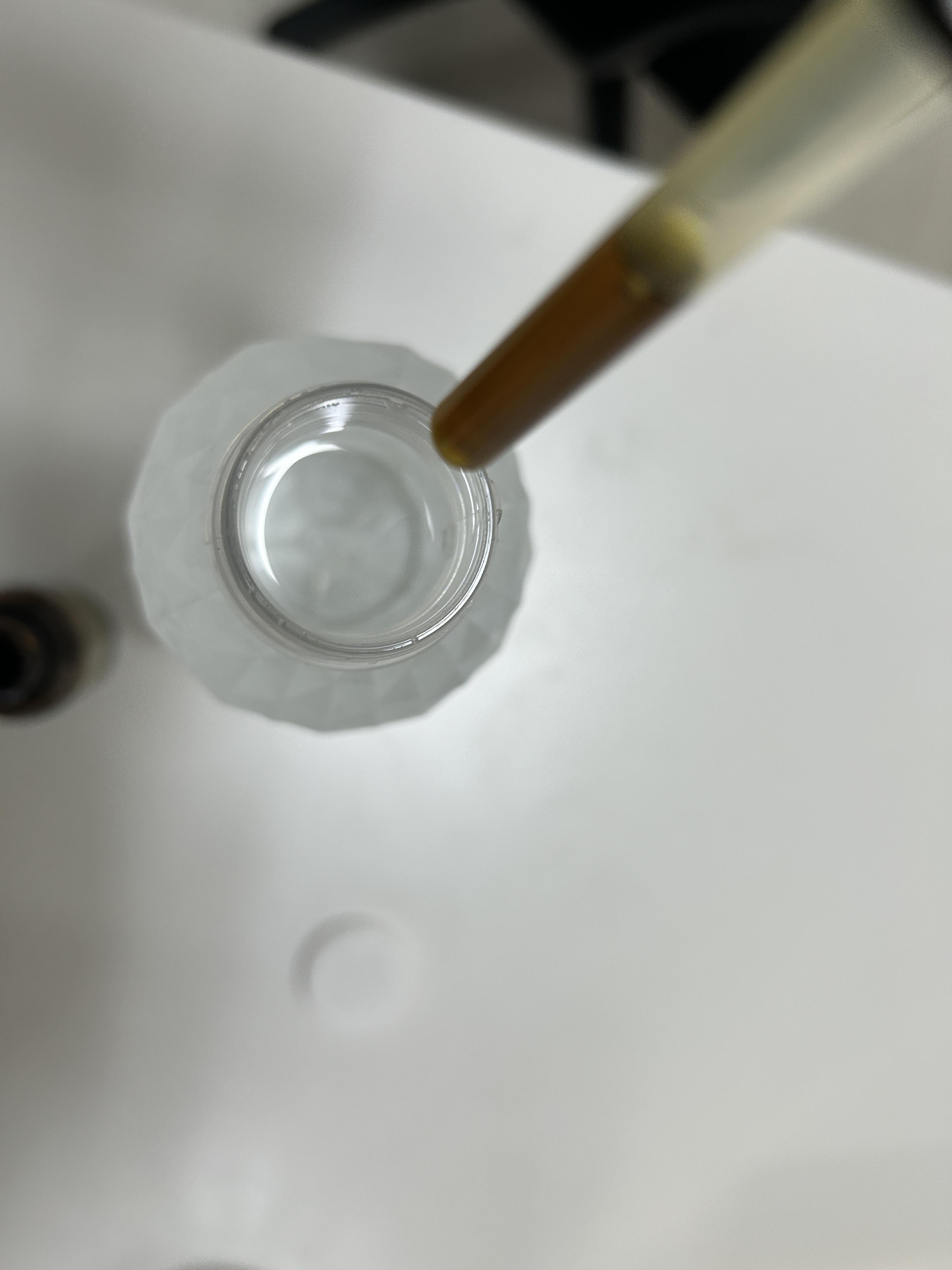 만성염증 영양제 추천 브라질산 그린 프로폴리스 원액 효능 효과 추천