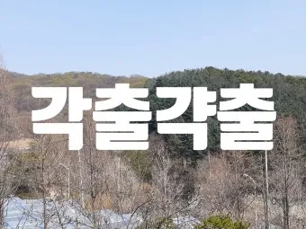 갹출 뜻 각출과 갹출 각출 비교_23