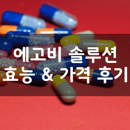 에고비-솔루션-뜻-성분-효능-부작용-복용법-가격-내돈내산-후기-정리