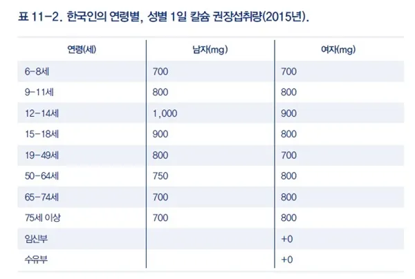 칼슘 하루 권장량