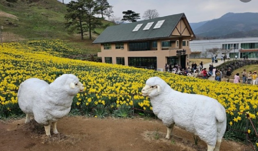 치즈랜드