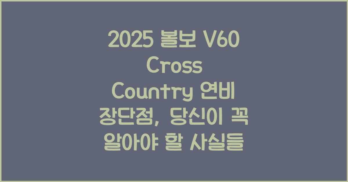 2025 볼보 V60 Cross Country 연비 장단점
