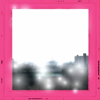 콜라드 재배 상자 텃밭 배양토 배합 병해 줄이기_6