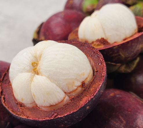 망고스틴 효능과 섭취 팁