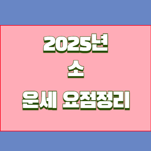 2025년 을사년 소띠 운세를 알아봅시다
