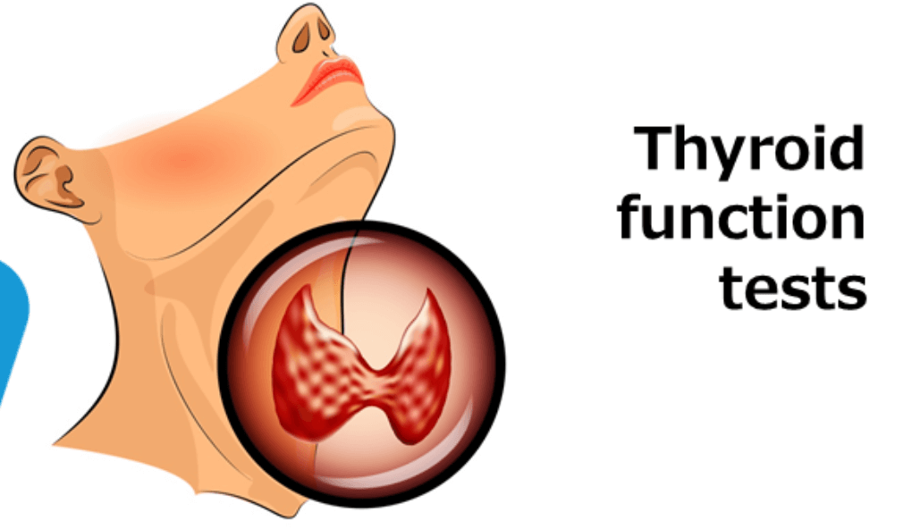 호르몬, 내분비관련 혈액검사