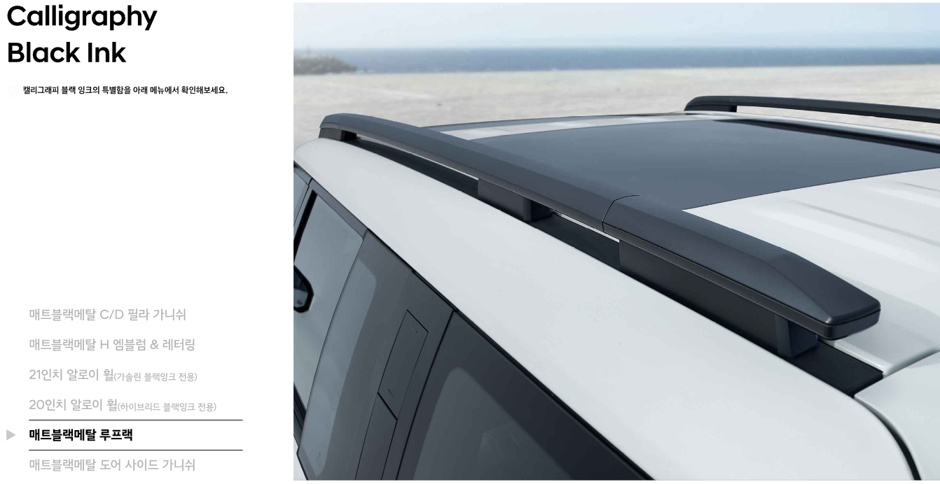 신형 싼타페 익스테리어 블랙 루프랙