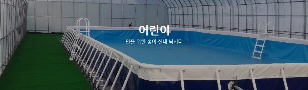 평창 송어축제 정보, 놀이시설 및 온라인 예약, 드디어 12월 30일부터 송어축제가 열립니다.