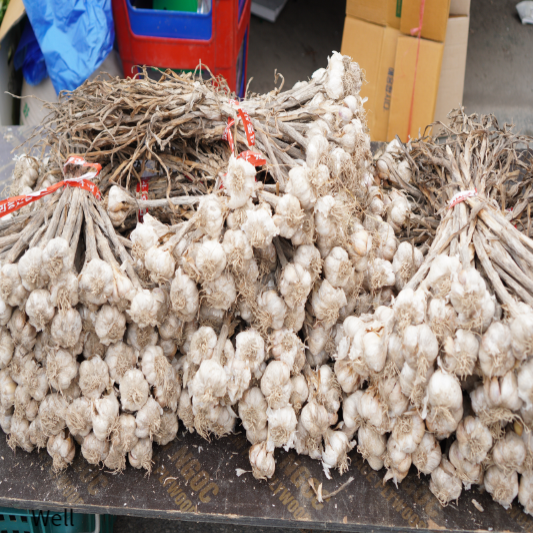 유방암에 좋은음식