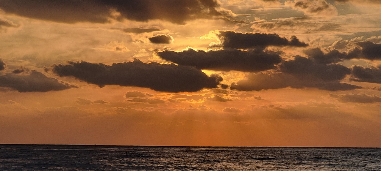 유명한 지역축제&amp;#44; 하얀모래축제&amp;#44; 제주도 표선 해수욕장