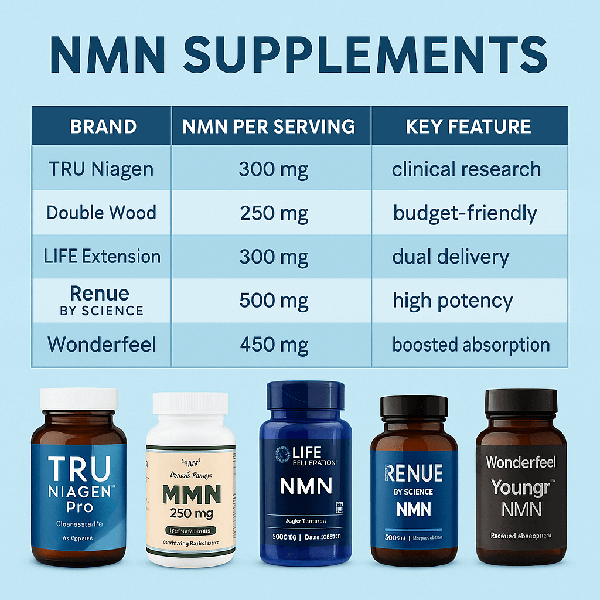 2025년 NMN 인기 브랜드 TOP 5 비교