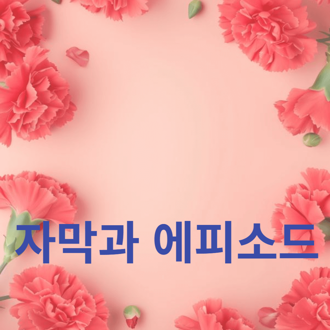 한류 드라마 시청을 위한 필수 팁