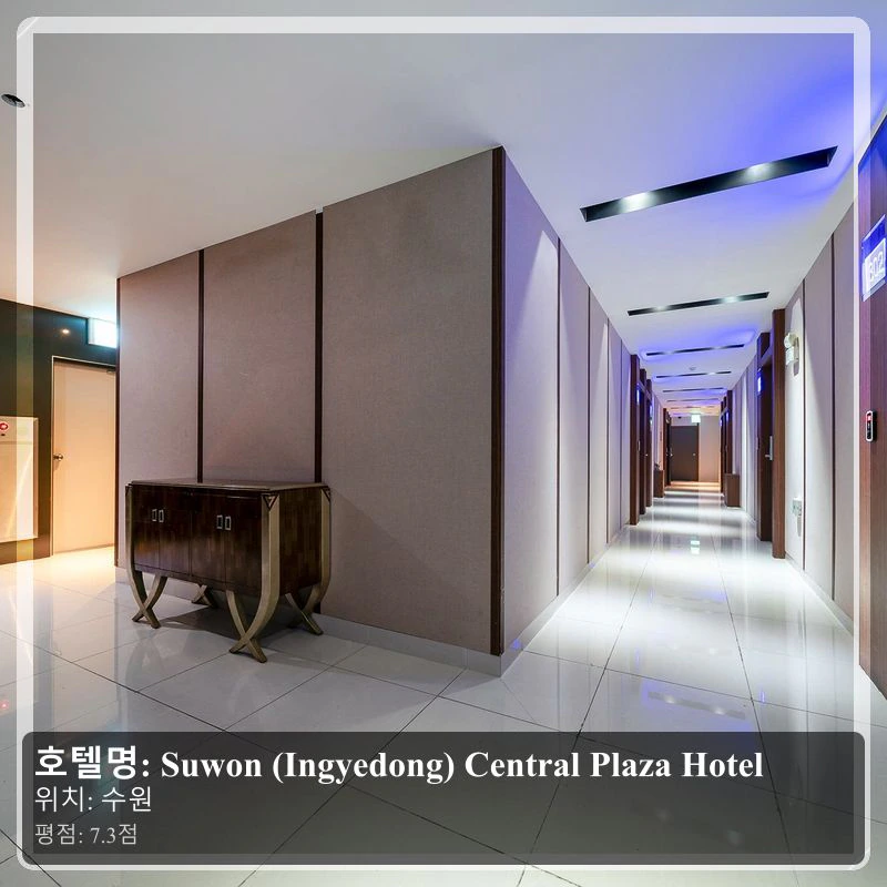 Suwon (Ingyedong) Central Plaza Hotel_5