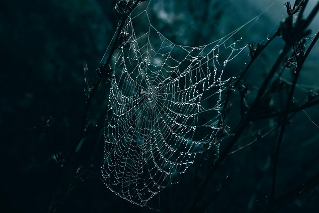 장마 예상 기간 2025년 바로 보기 12