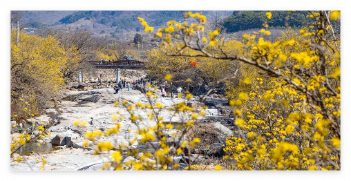 숙소 추천