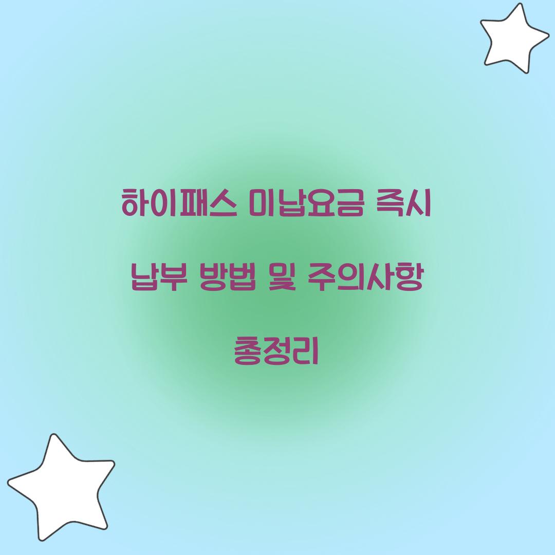하이패스 미납요금 즉시 납부
