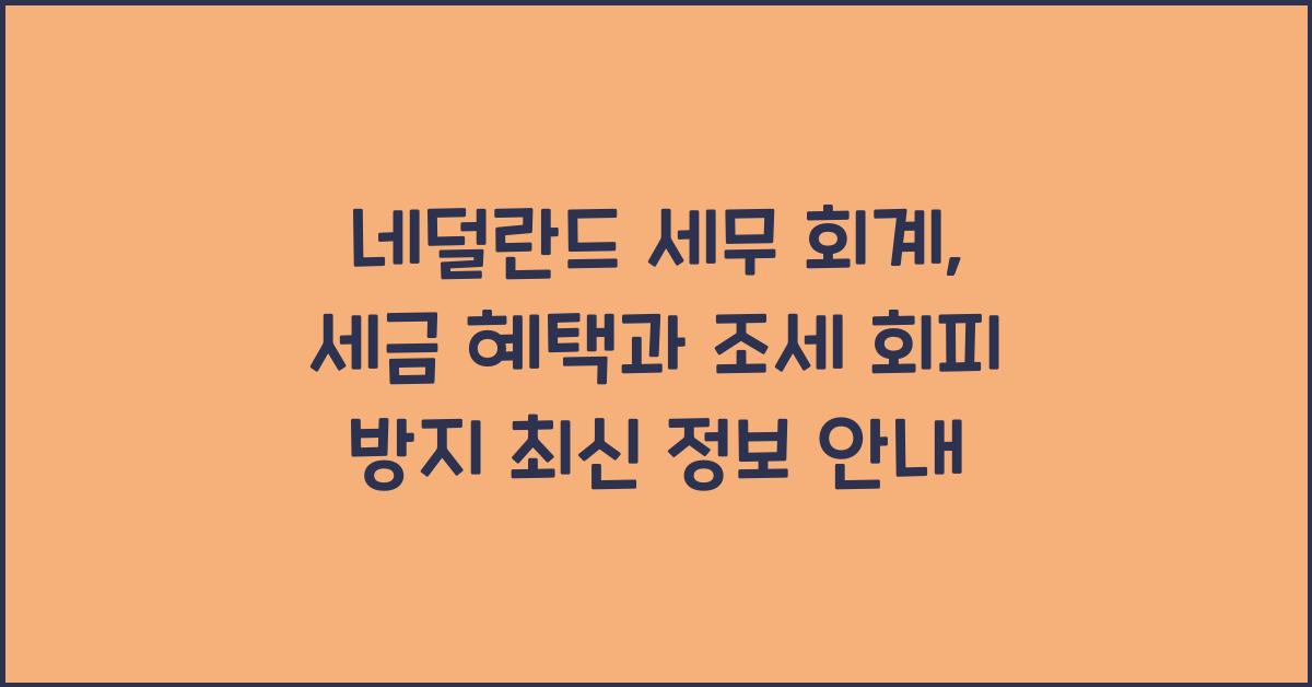 네덜란드 세무 회계: 세금 혜택과 조세 회피 방지