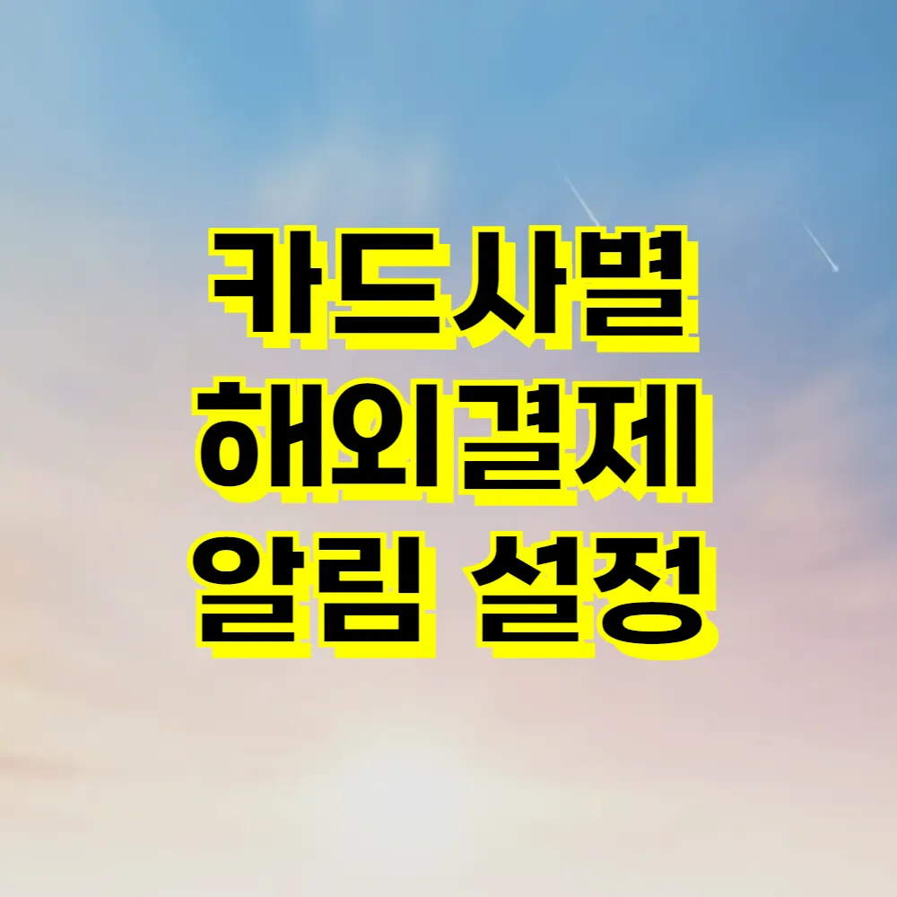 카드사별 해외결제 알림 설정