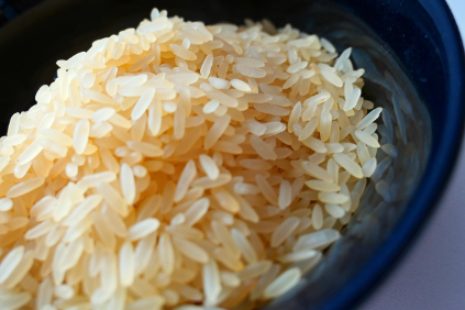 현미의 배신? 소화 안 되는 사람에게 현미는 영양가 제로인 이유!