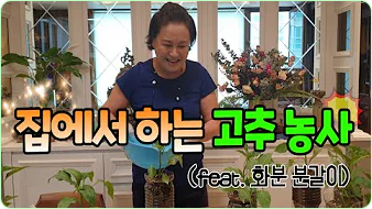 박원숙 박원숙의 같이 삽시다 시즌3, 나이, 재방송, 남해 카페, 프로필, 아들,고향, 가족, 드라마