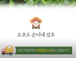 도초도-순이네섬초