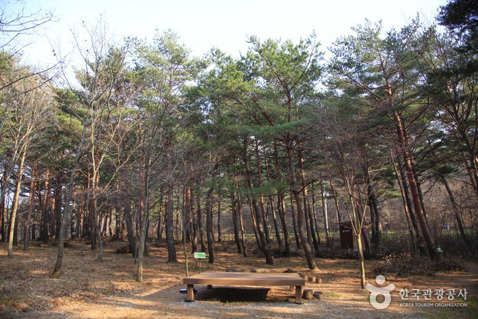 영양 가볼만한곳 베스트10