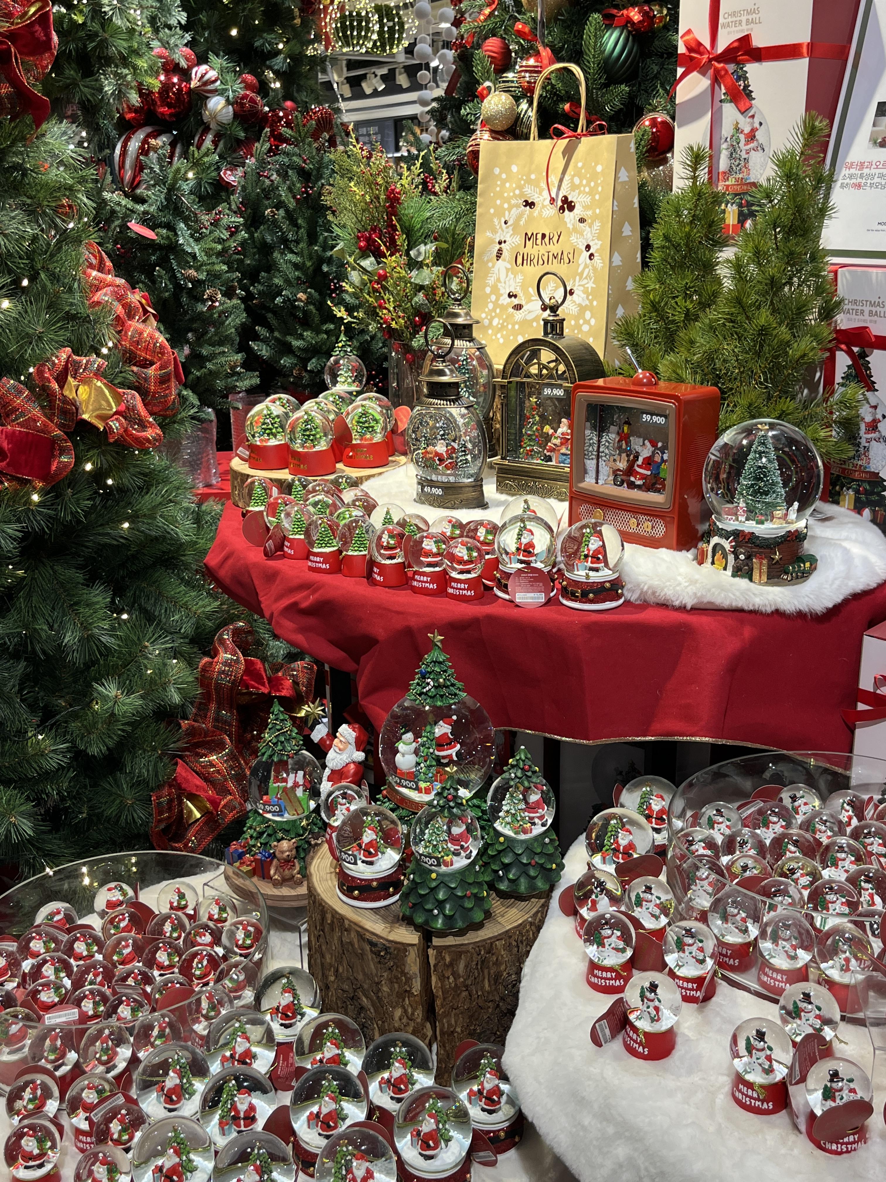 모던하우스 크리스마스