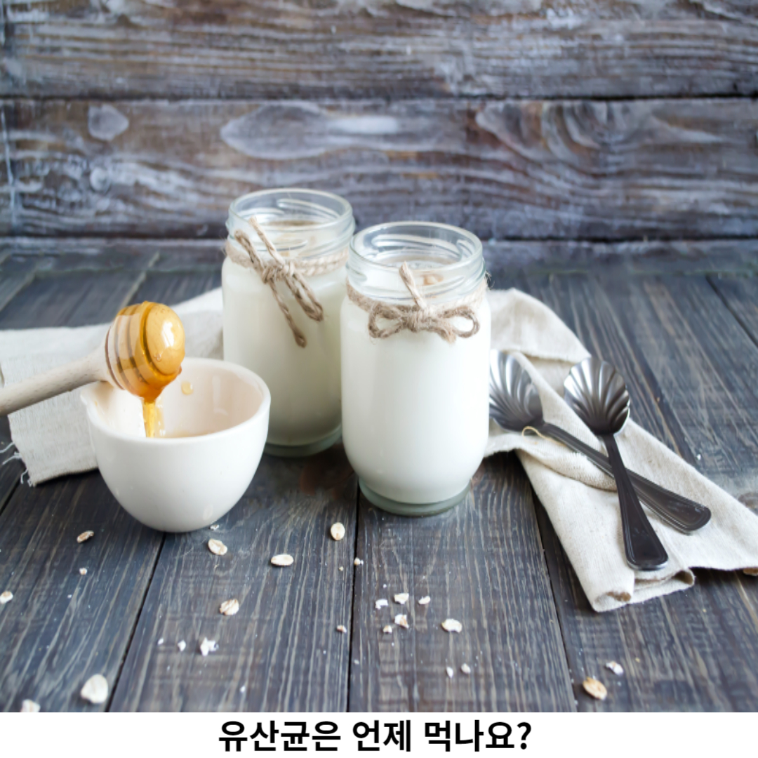 유산균은 언제 먹나요
