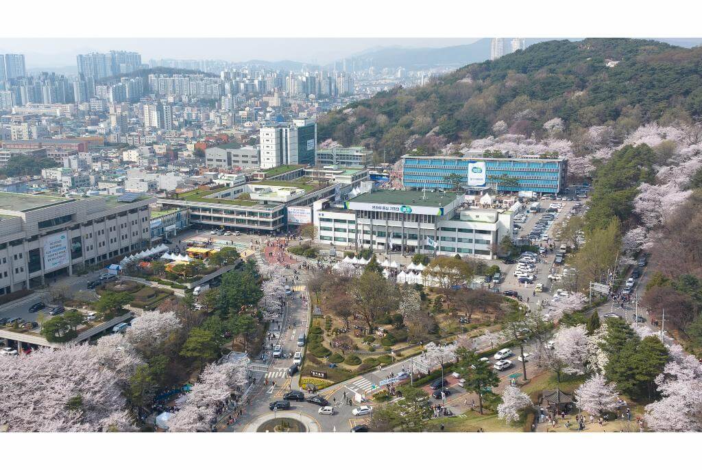 벚꽃이 흐드러지게 핀 경기도청