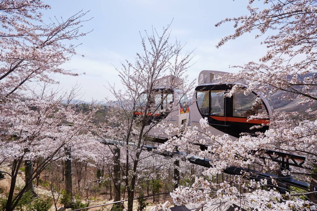 화담숲 예약