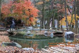 남이섬 단풍 절정시기