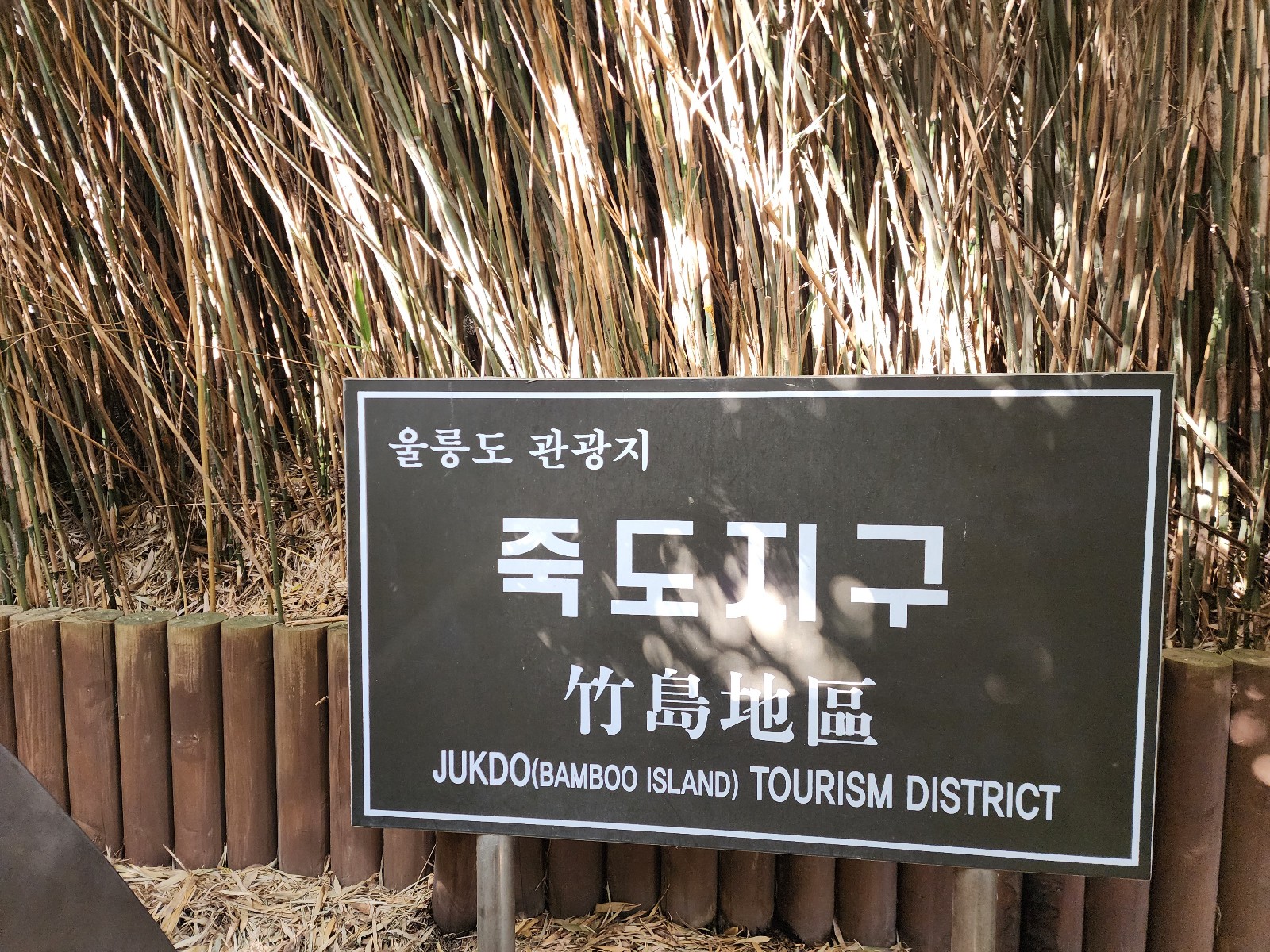 죽도지구