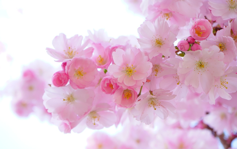 2025년 40대 자기개발 추천 5가지｜삶의 균형과 성장을 위한 현실적인 방법