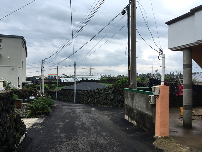 월정리 동네길2