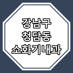 서울시 강남구 청담동 "소화기 내과 진료" 동네 의원