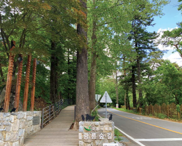 광릉숲길 주요 코스