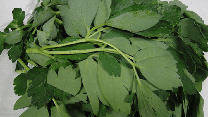 본나물 종류에 포함된 방풍나물이 놓여 있다