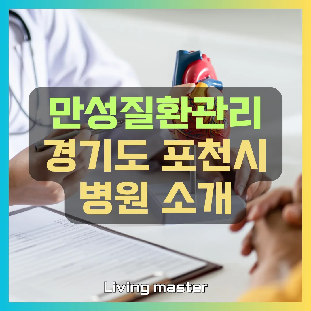 만성질환관리 경기도 포천시 병원 소개