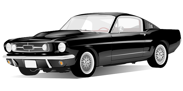 과속 단속 조회