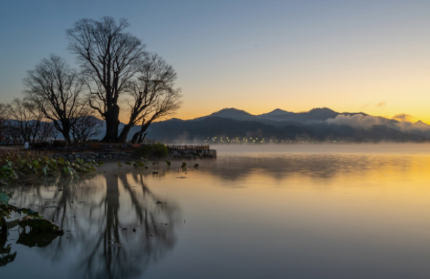 경기도 봄꽃명소