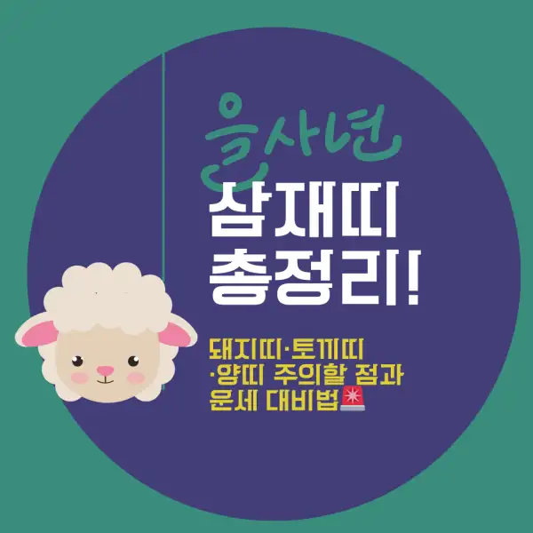 2025년 삼재띠 총정리!