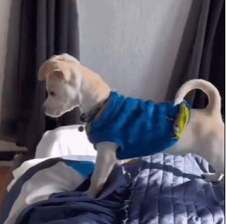 12월 1일 신문스크랩