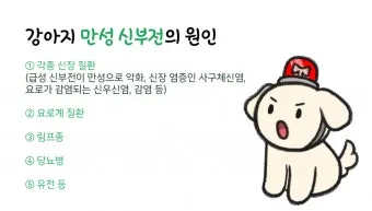 강아지 신부전에 좋은 음식 추천_31