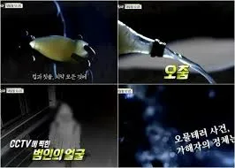 밤에 소변이 자주 마려운 증상