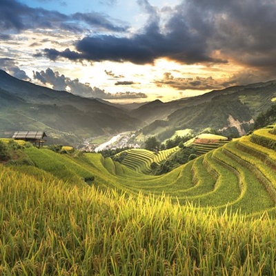 베란다 정원용 흙과 비료 선택 요령: 작물을 성공적으로 키우는 비결