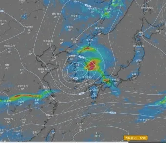 우박 예보 차량 보호 담요 준비 주차 위치 팁_25
