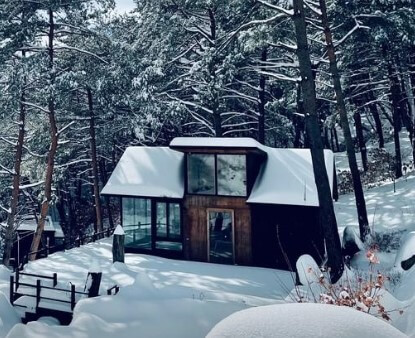 별들의 기침 펜션